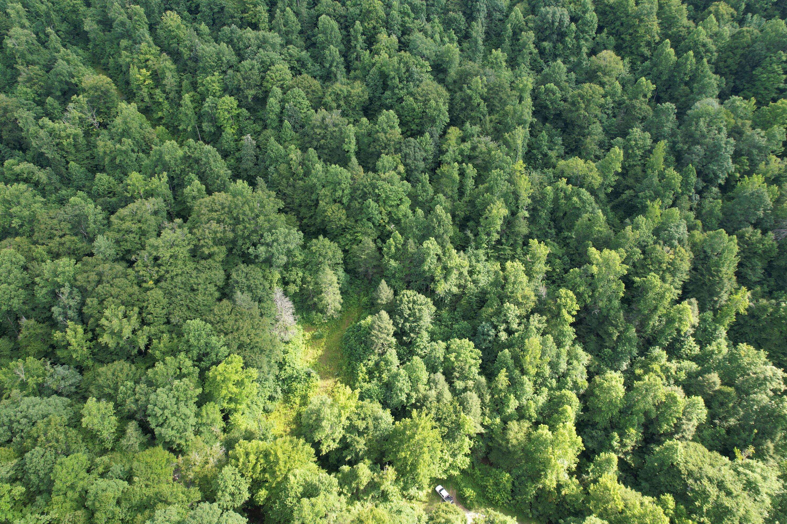 0 Little Rock Creek Road Property Photo 14