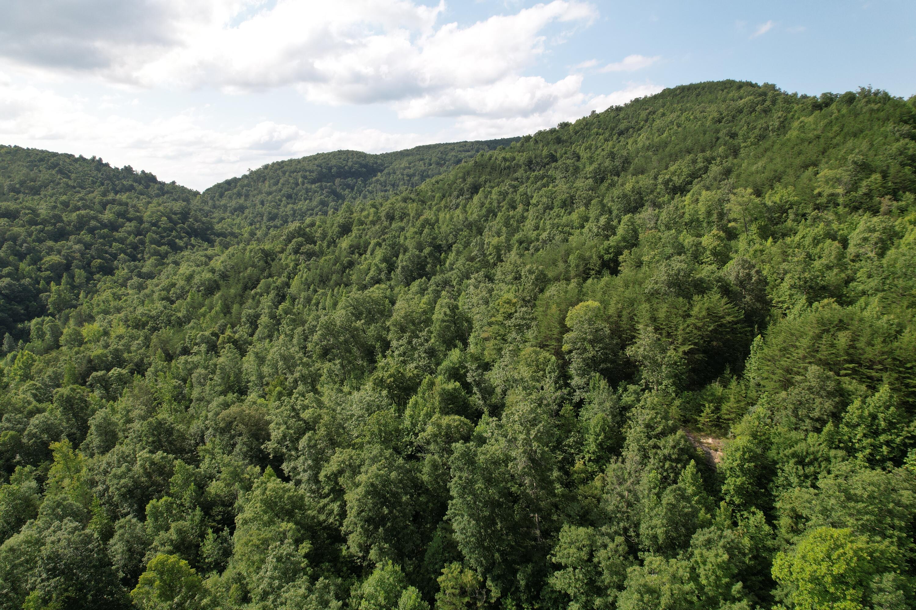 0 Little Rock Creek Road Property Photo 18