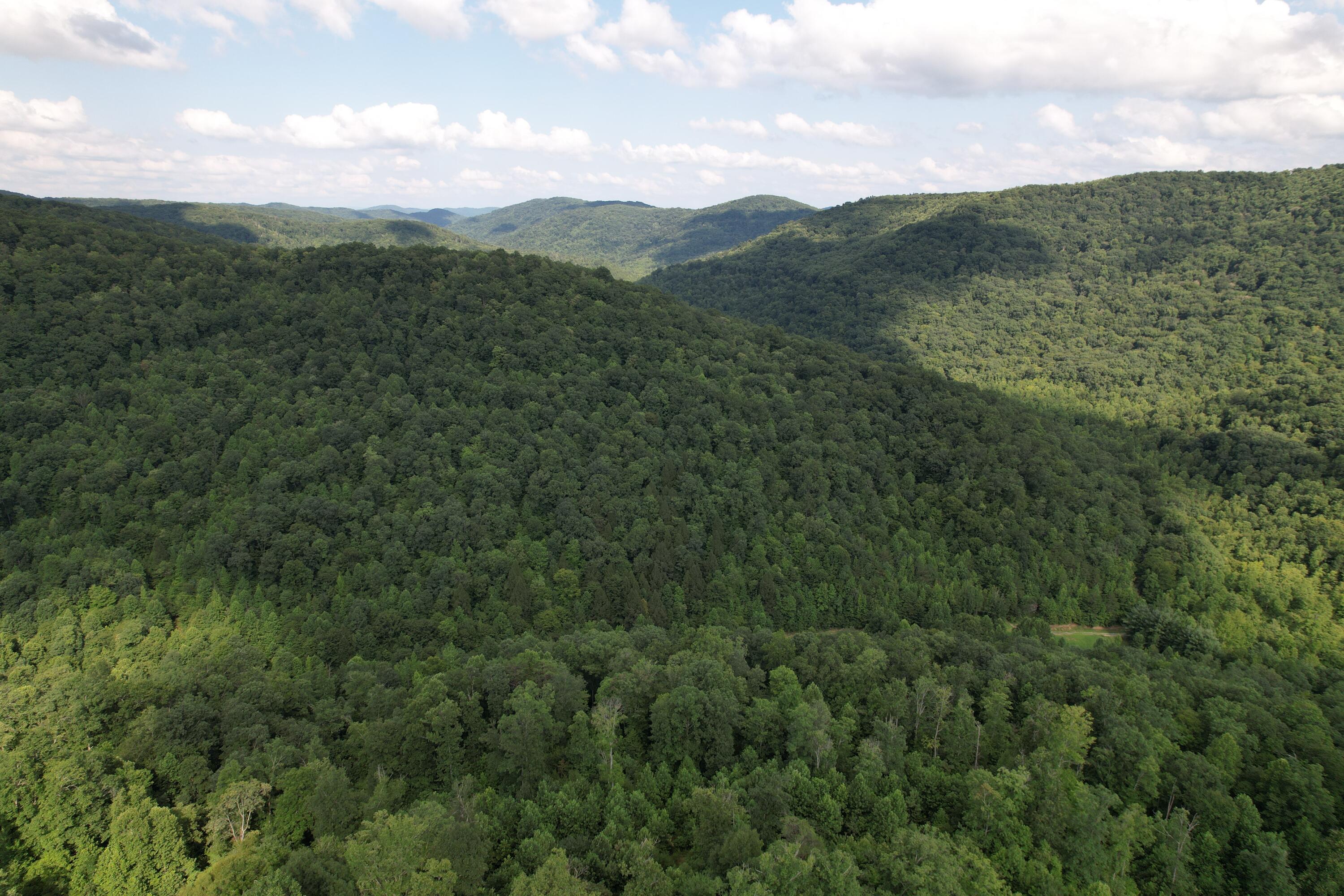 0 Little Rock Creek Road Property Photo 26