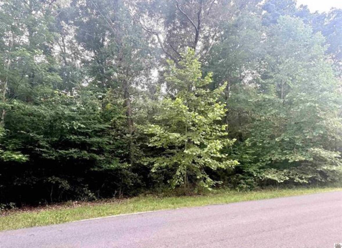 44 Mariner Lane Property Photo 2