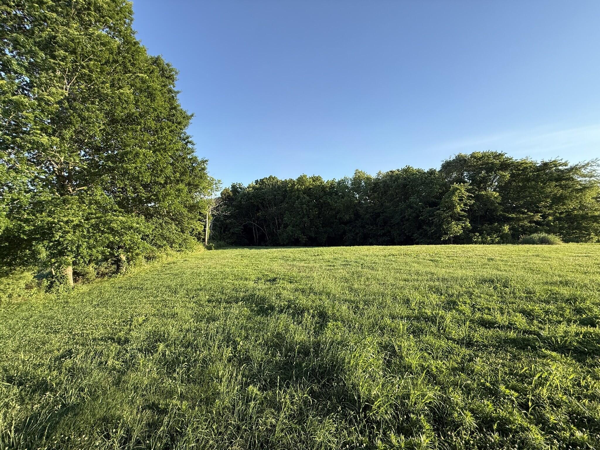 1397 Watts Road Property Photo 3