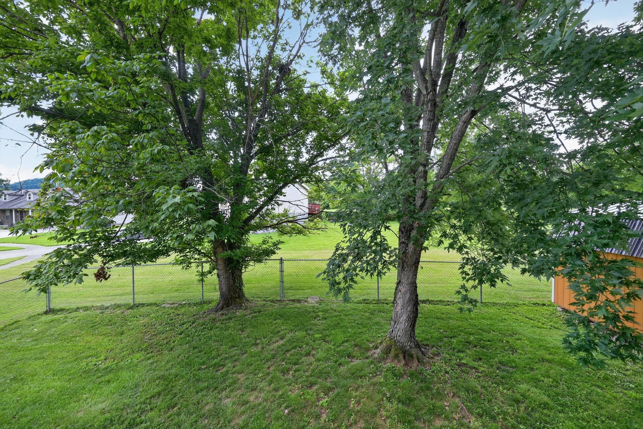 501 Scenic View Circle Property Photo 19