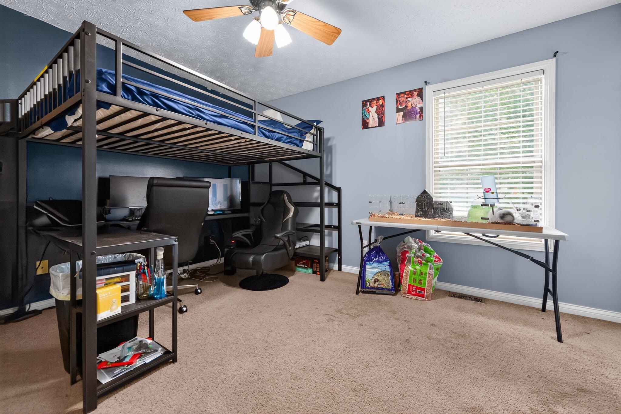 501 Scenic View Circle Property Photo 41