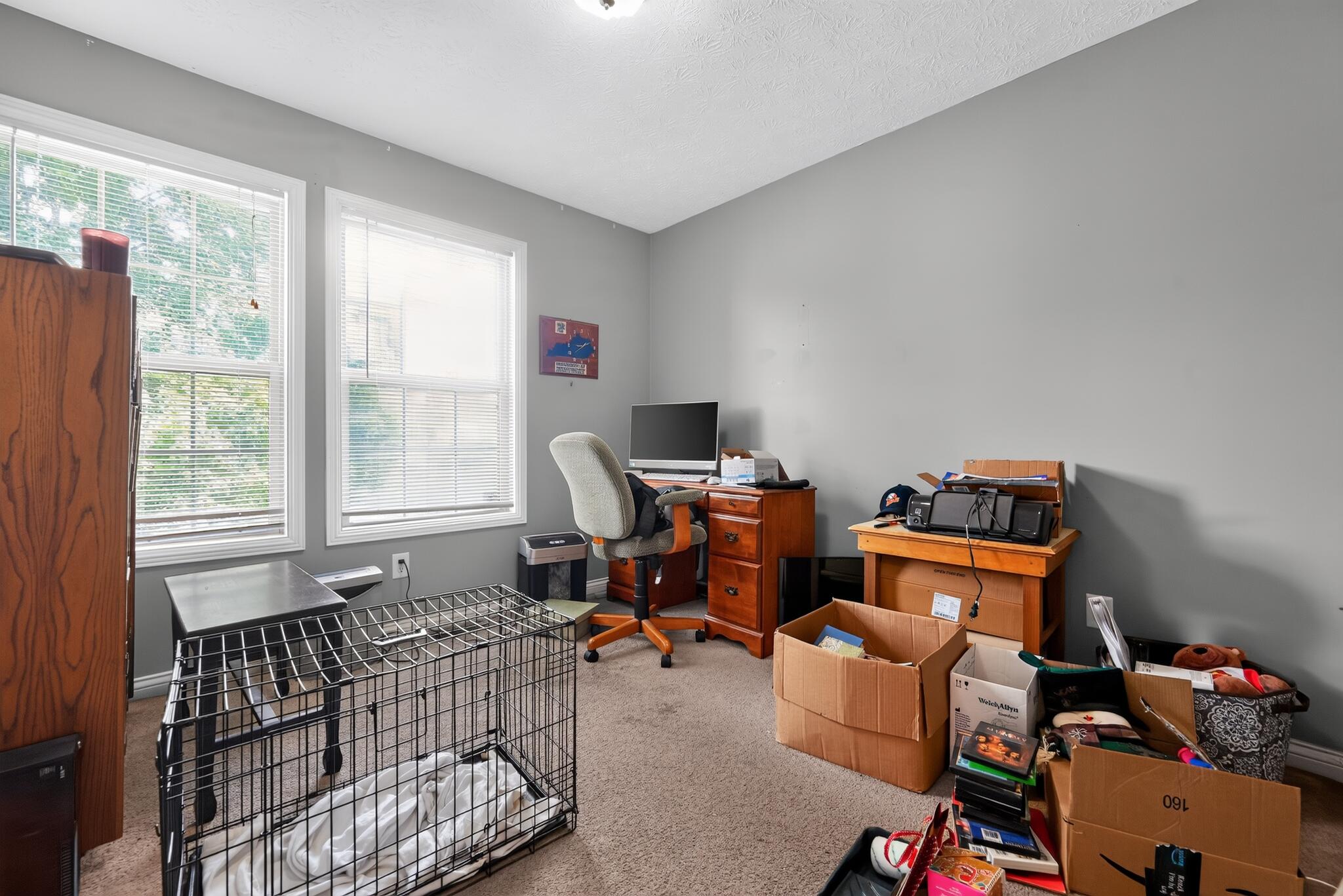501 Scenic View Circle Property Photo 47