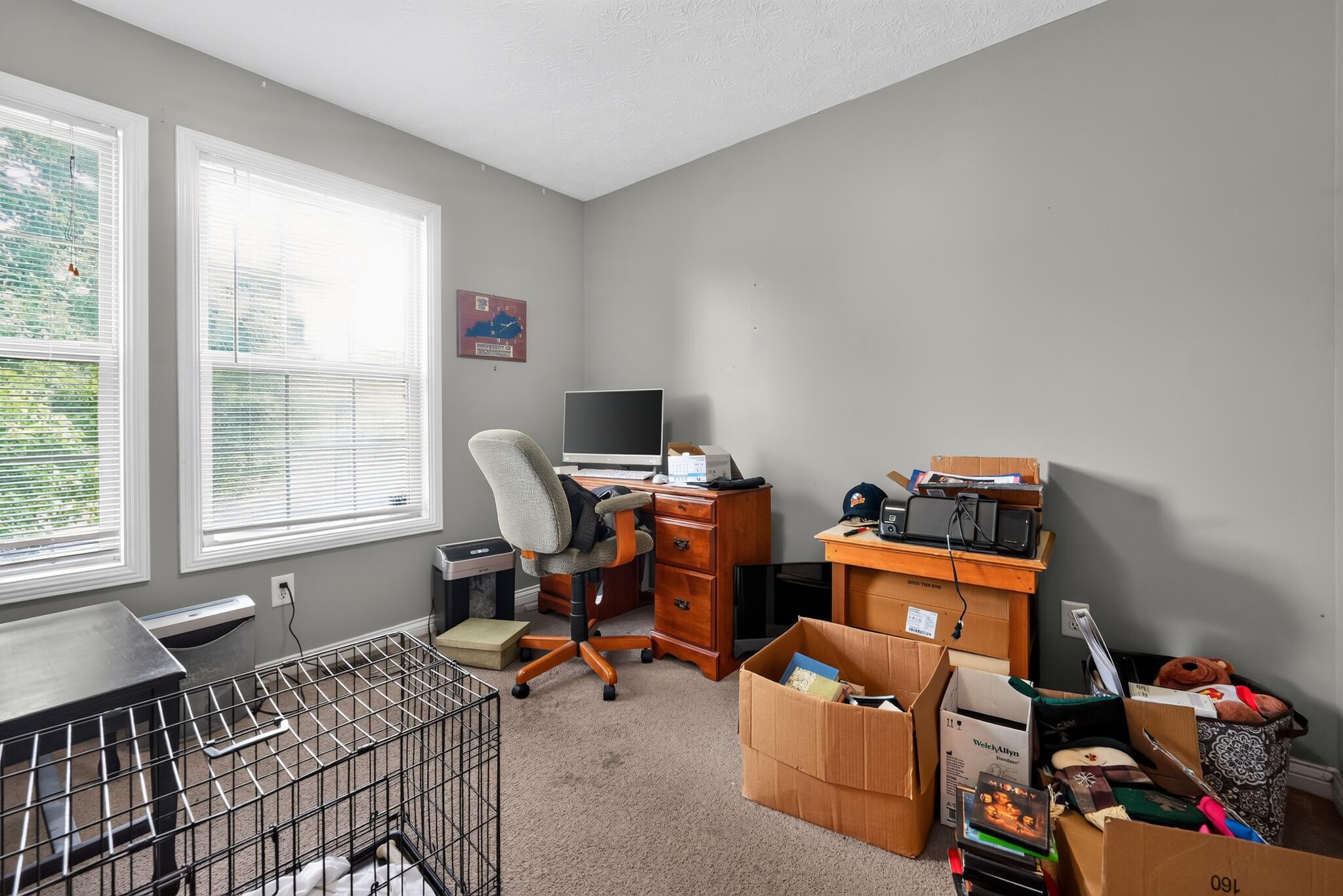 501 Scenic View Circle Property Photo 49