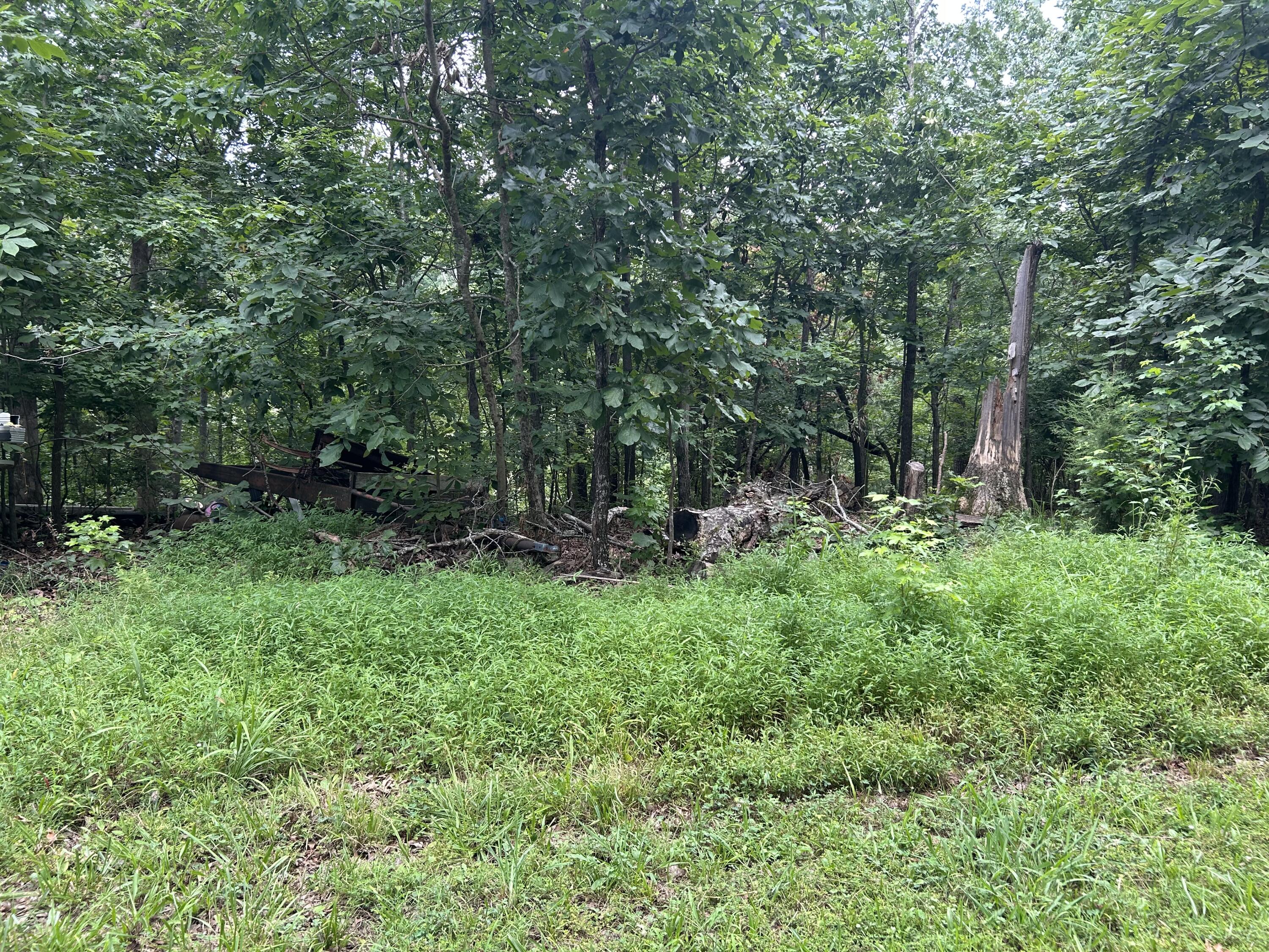 84 Mcclure Drive Property Photo 3