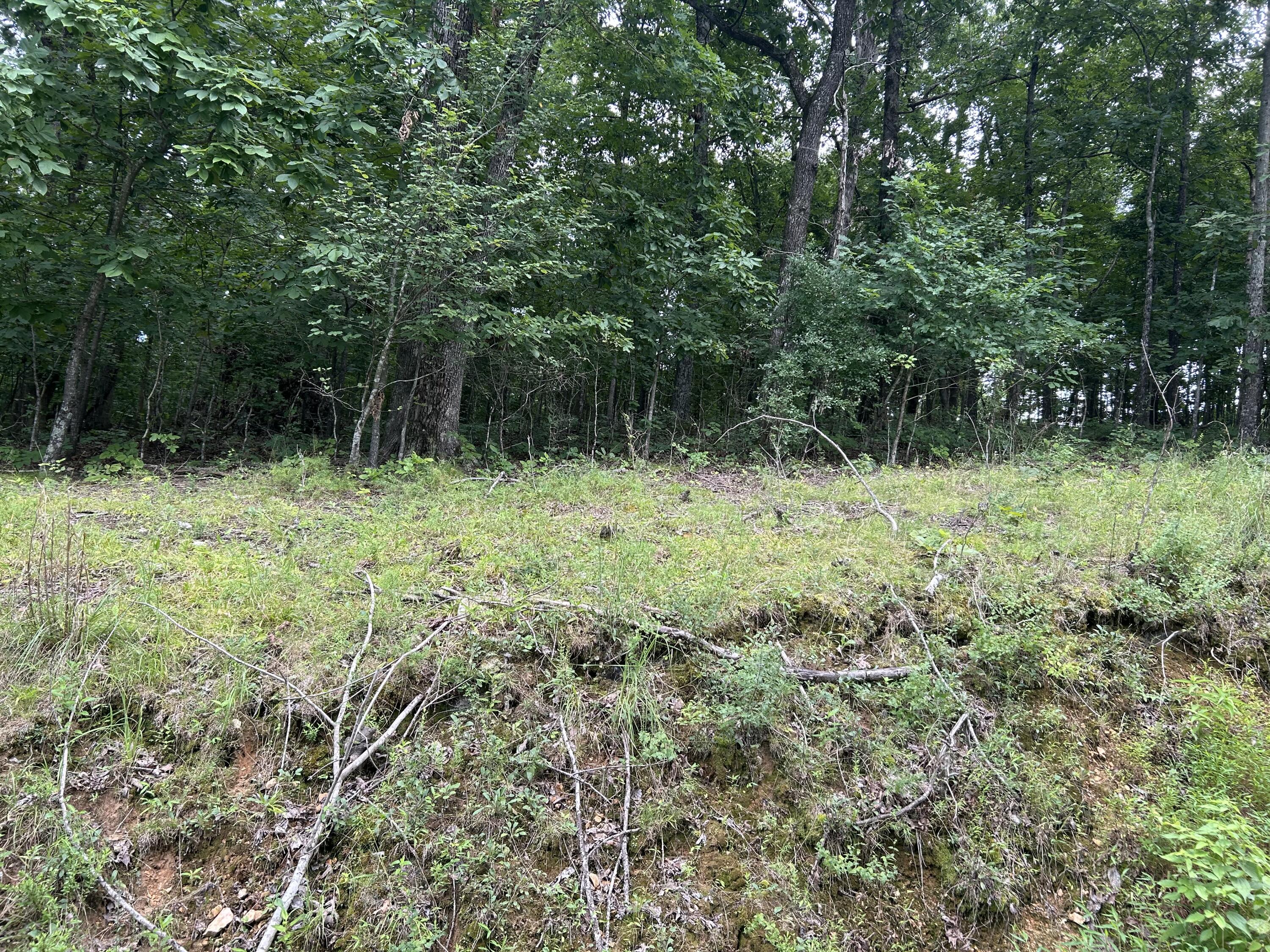 84 Mcclure Drive Property Photo 4