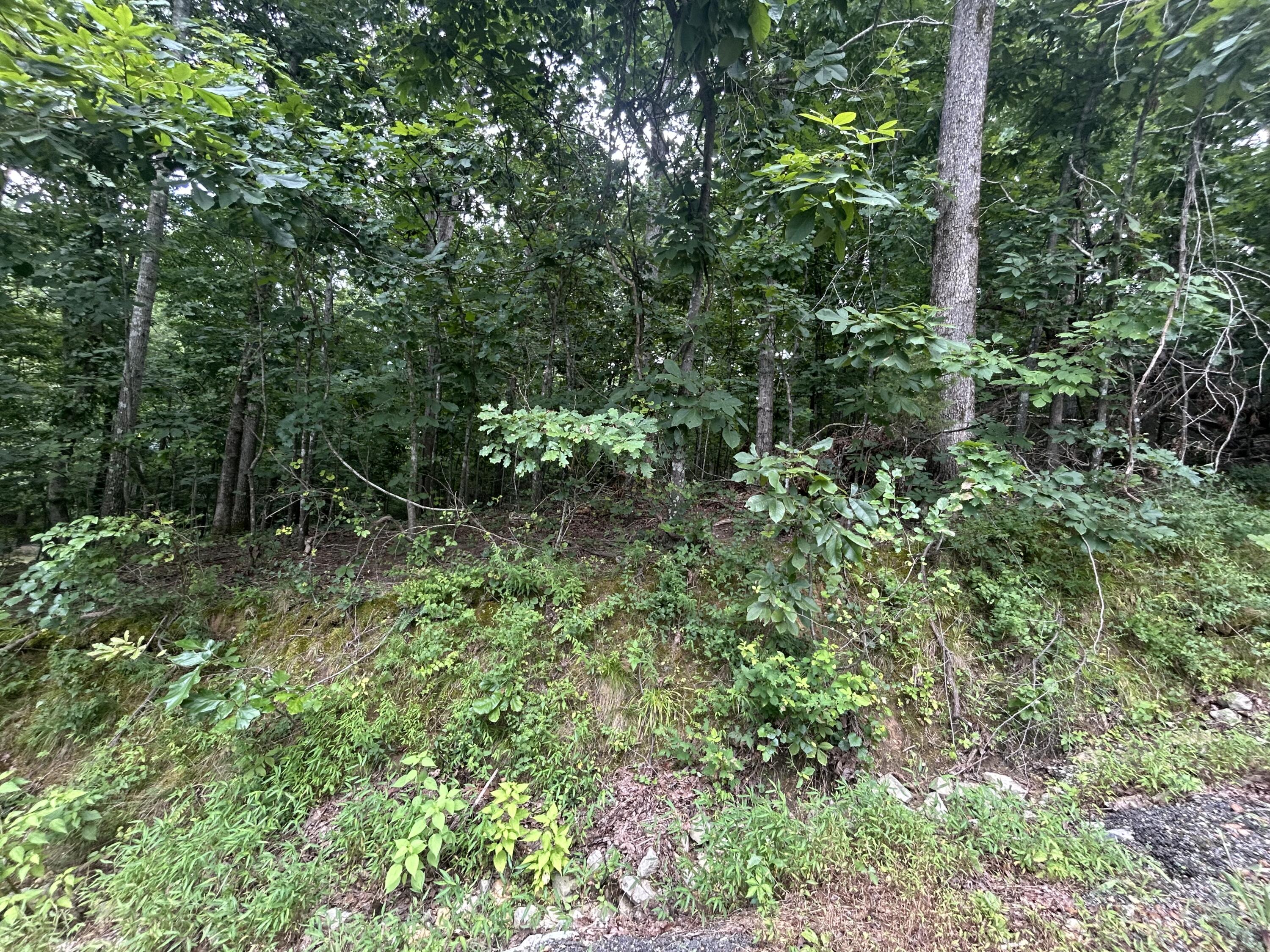 84 Mcclure Drive Property Photo 6
