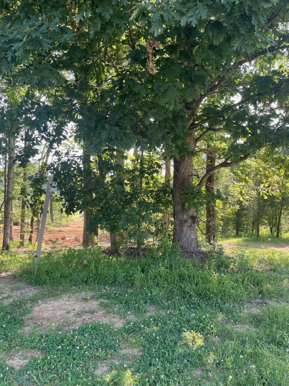 290 Forest Ridge Drive Property Photo 3