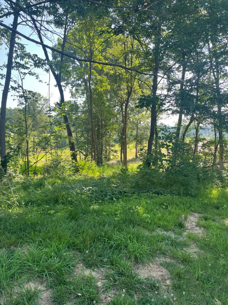 240 Forest Ridge Drive Property Photo 3