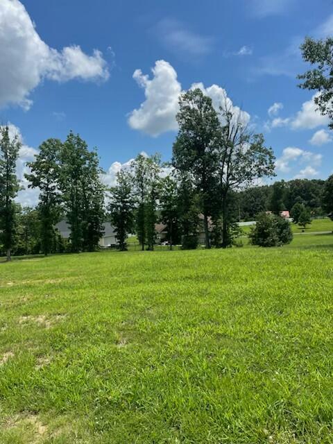110 Overlook Dr #l-84 Drive Property Photo 3