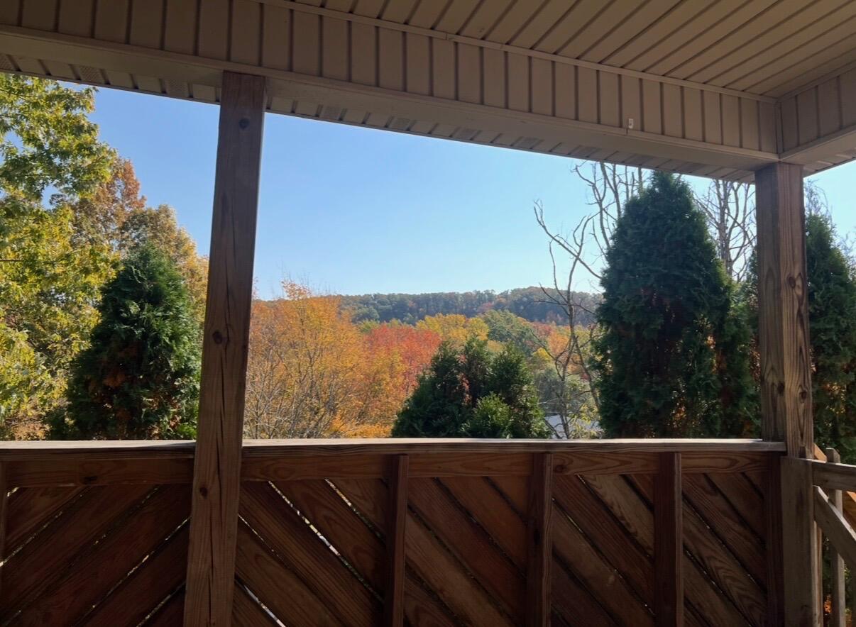 201 Pinecrest Court Property Photo 28