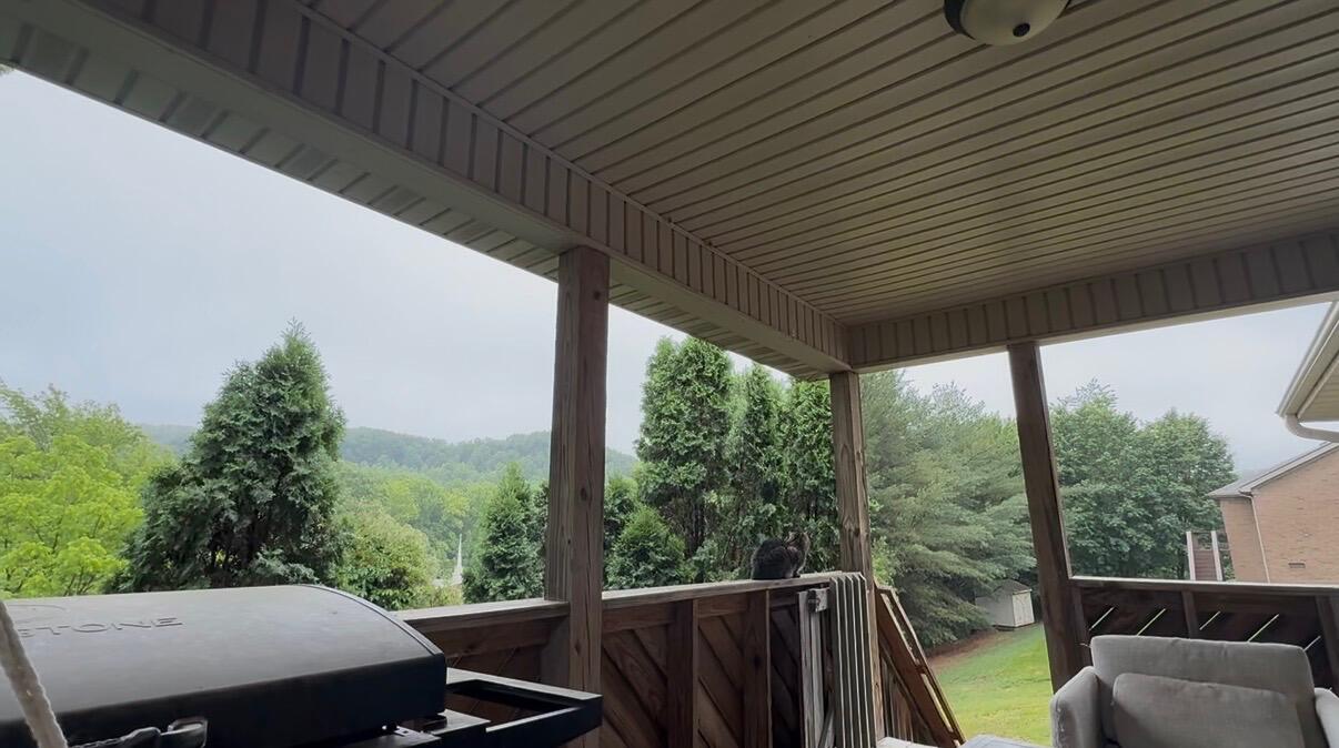 201 Pinecrest Court Property Photo 29