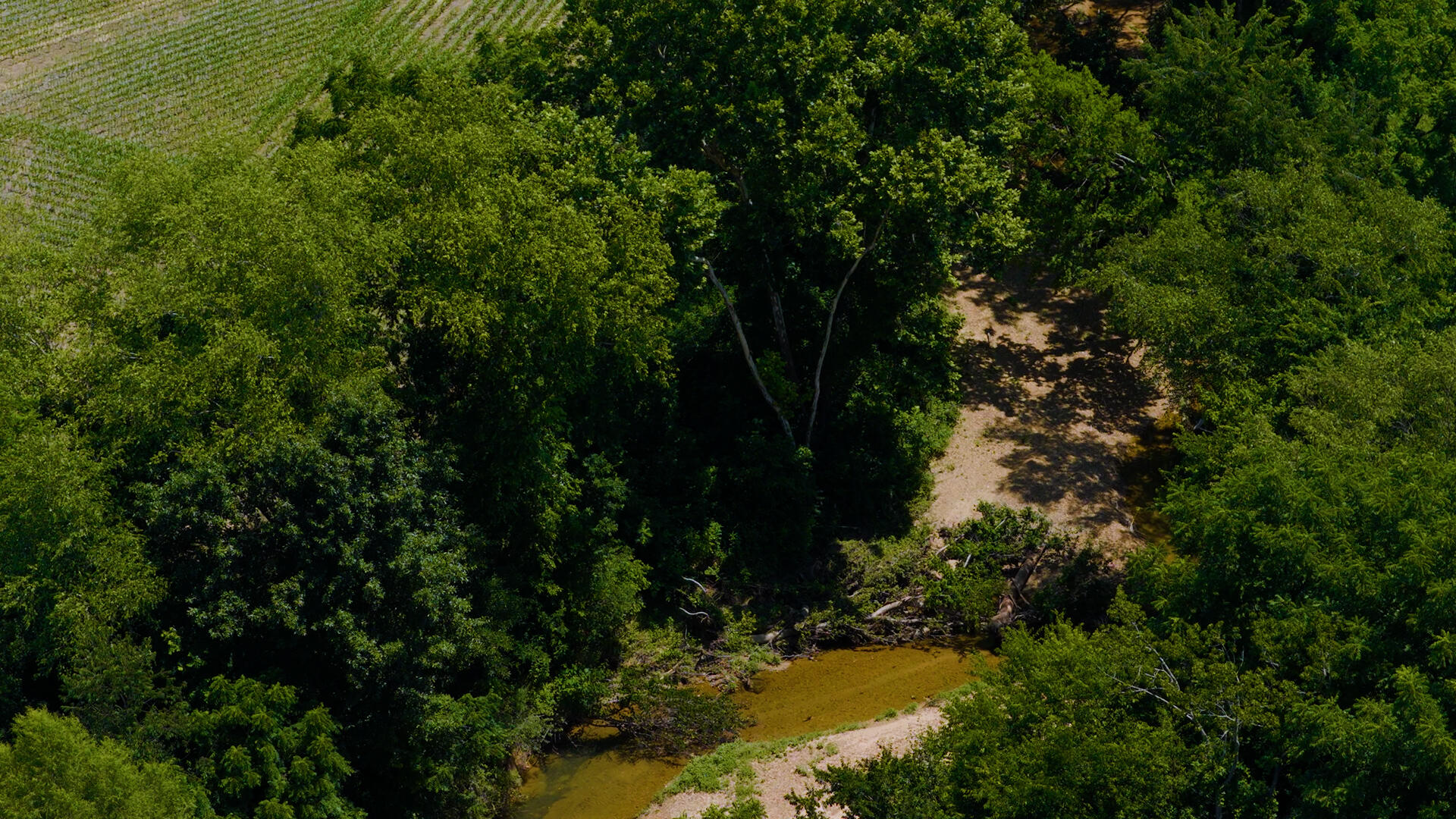 5279 E State Line Road Property Photo 69