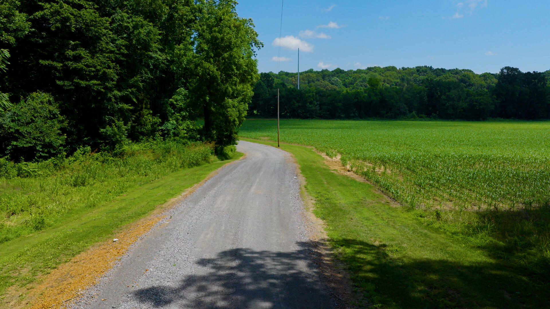 5279 E State Line Road Property Photo 70