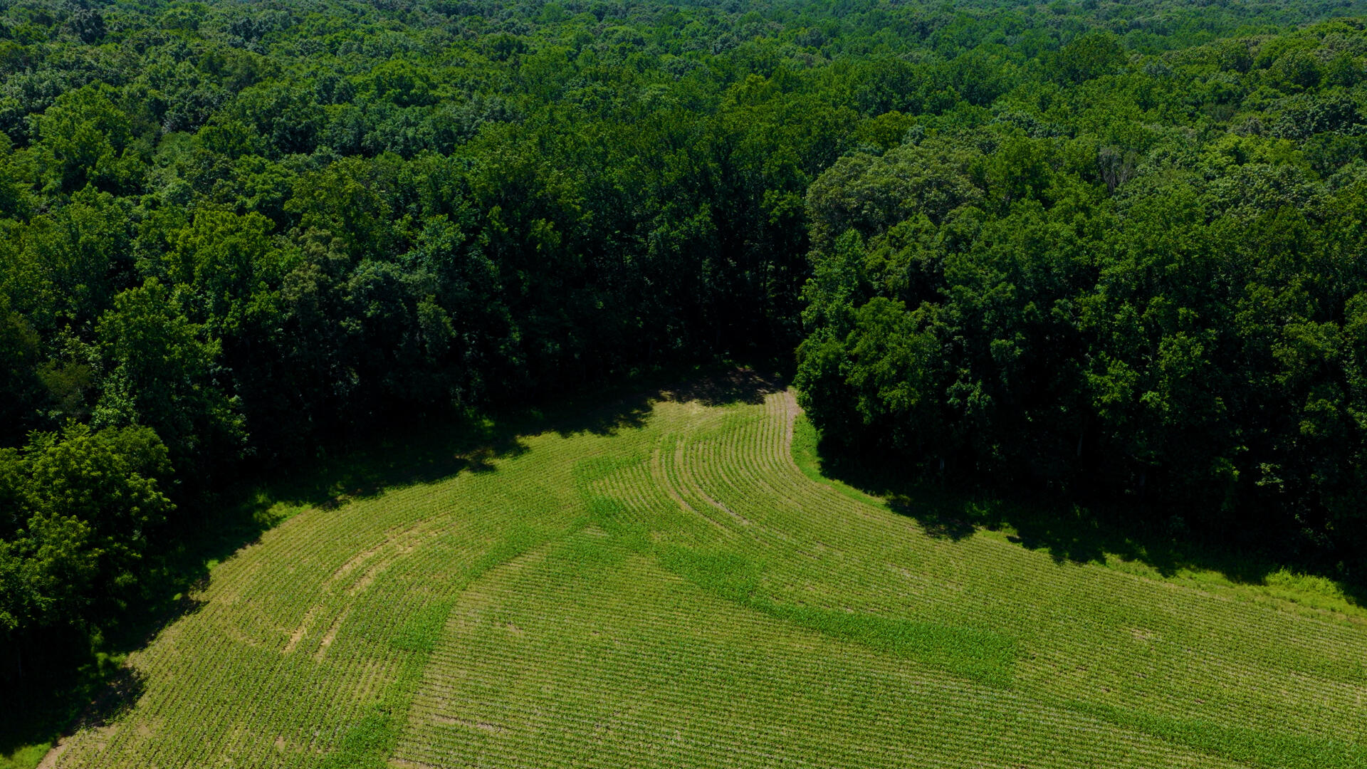 5279 E State Line Road Property Photo 83