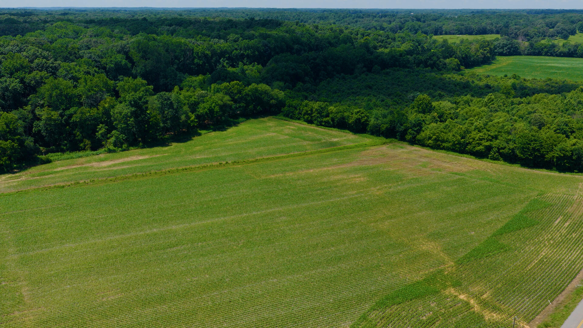 5279 E State Line Road Property Photo 89