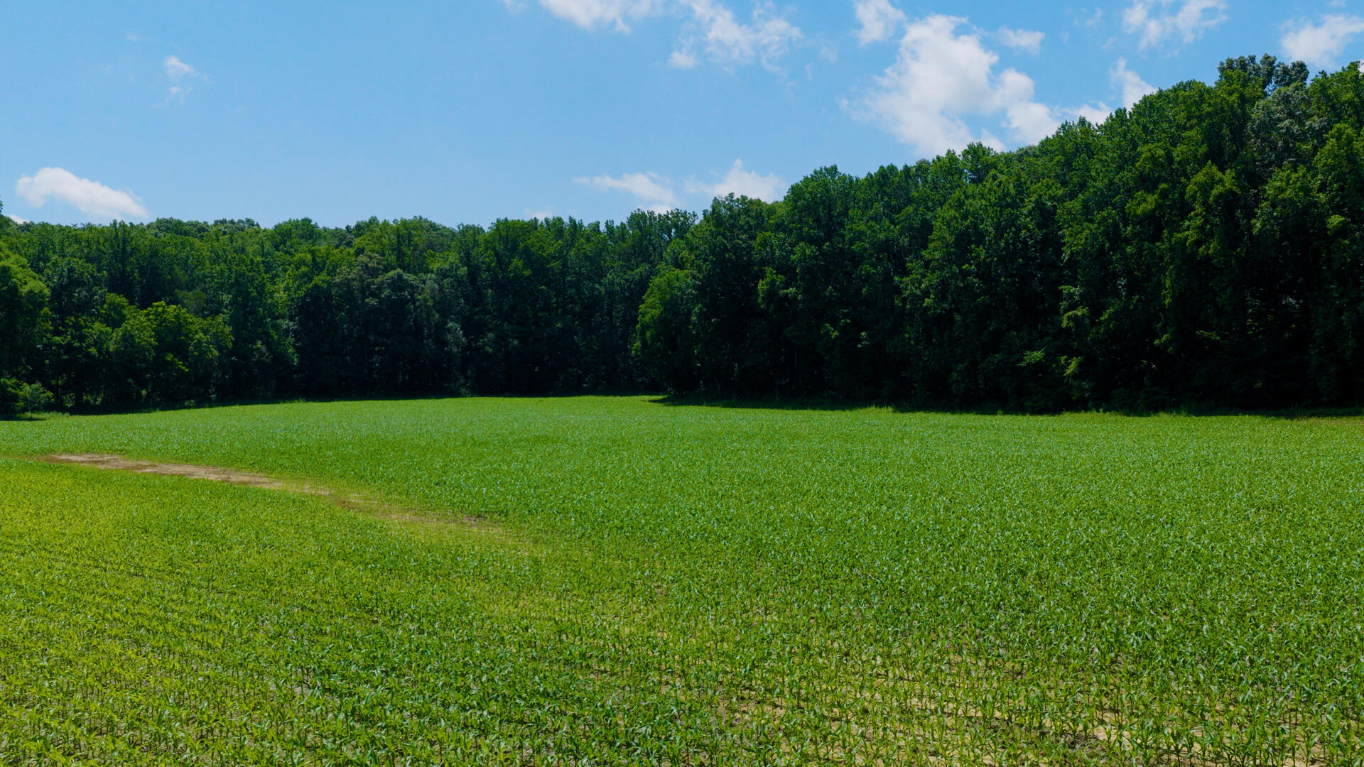 5279 E State Line Road Property Photo 91