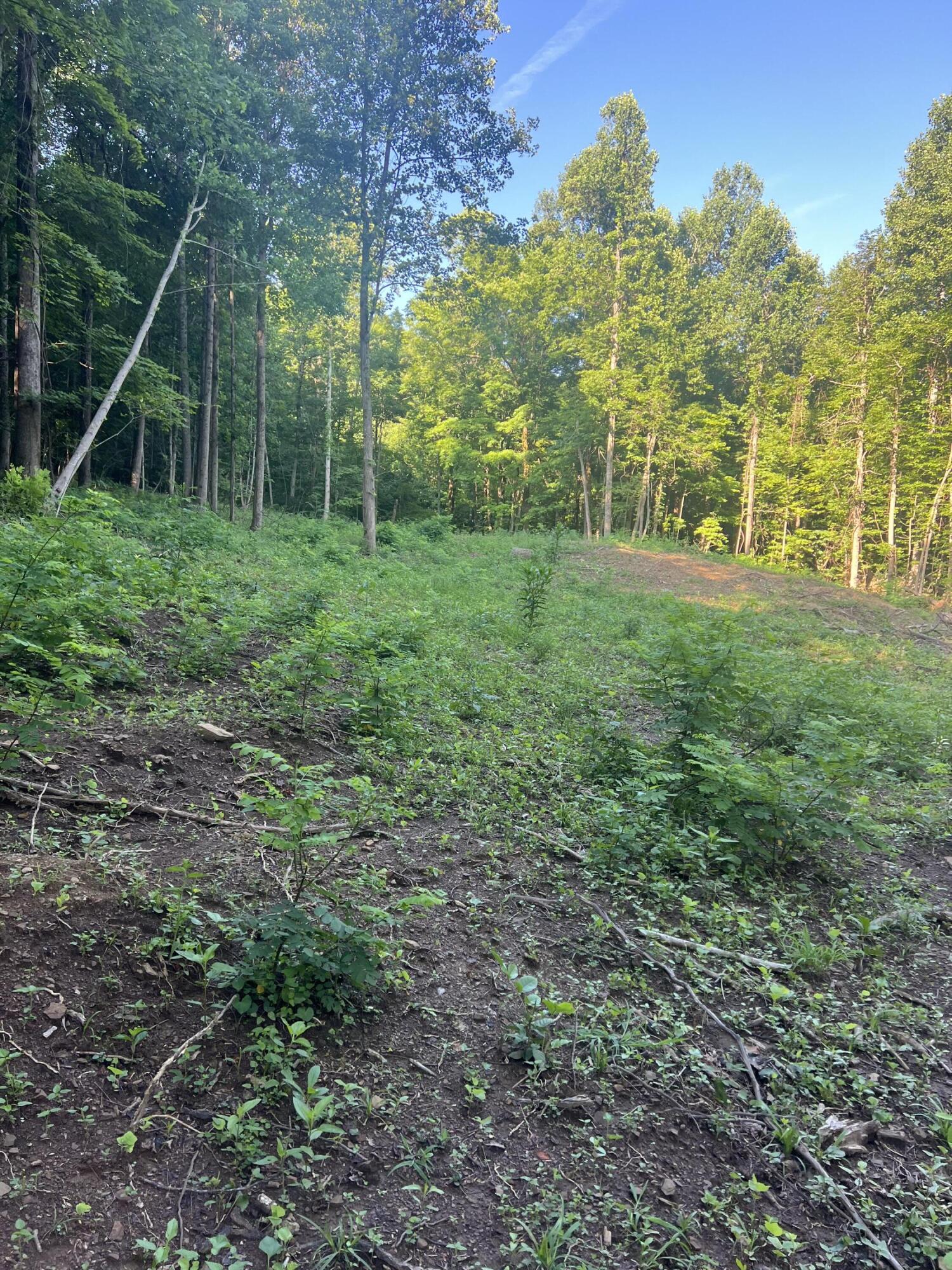 9999 Hwy 2004 Property Photo 15