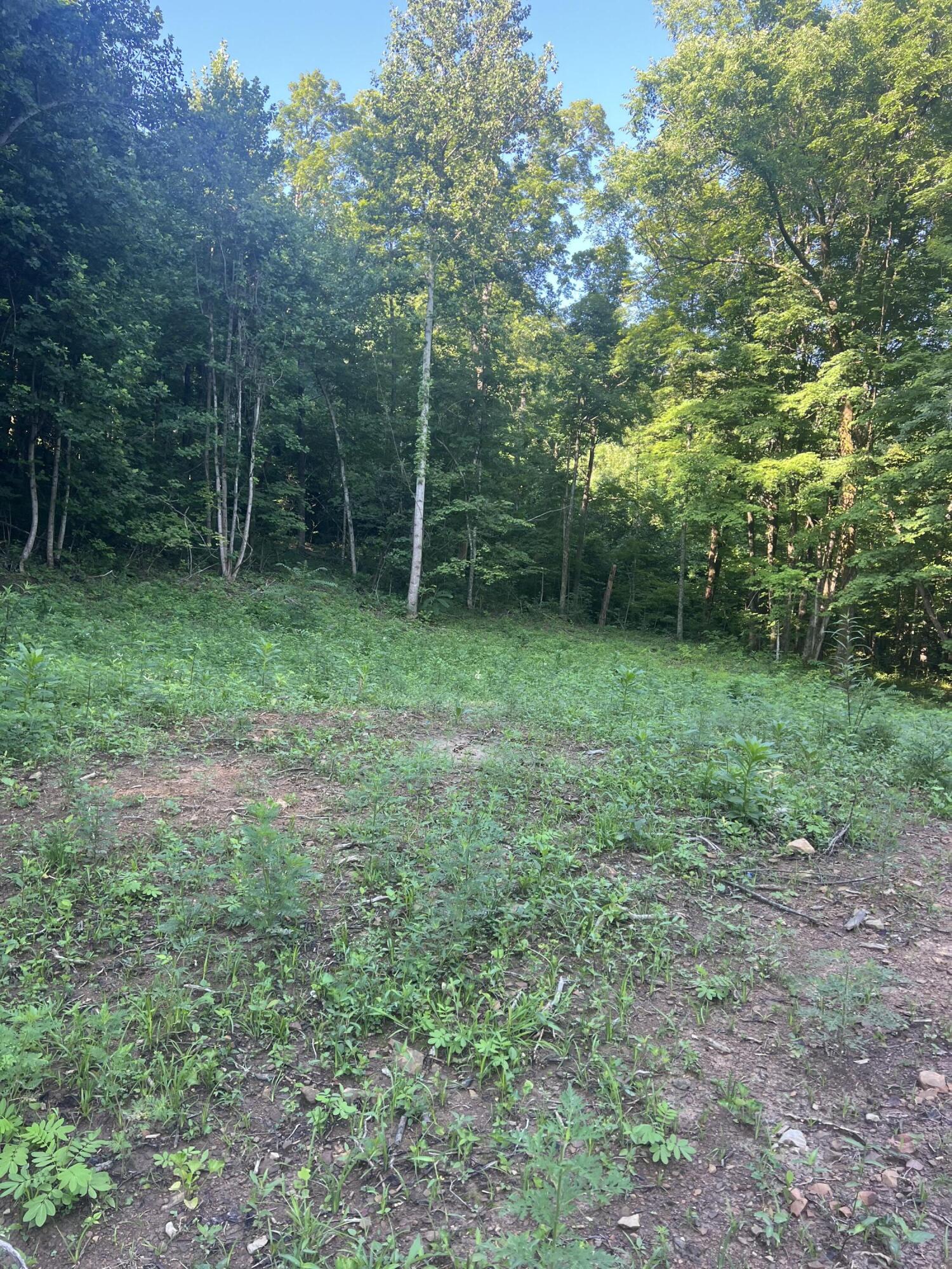 9999 Hwy 2004 Property Photo 18