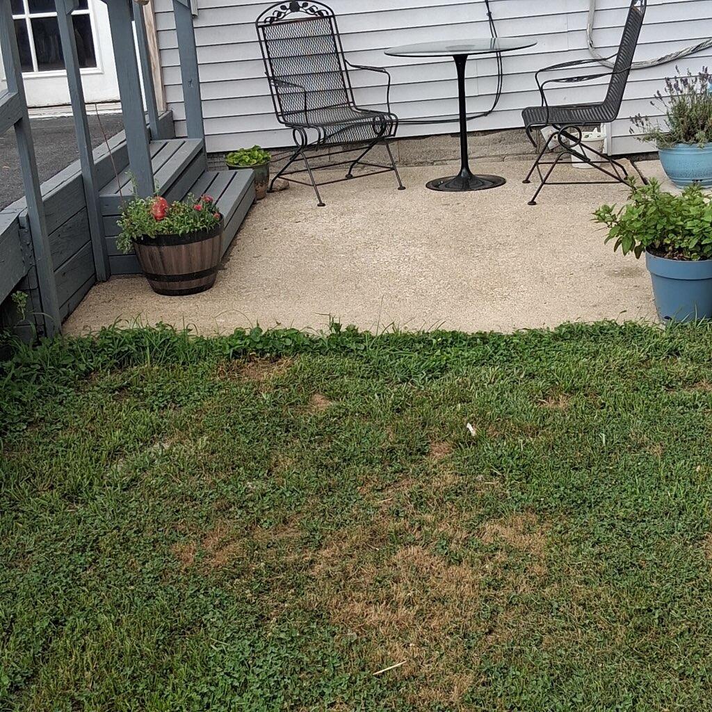 1724 Courtney Avenue Property Photo 38