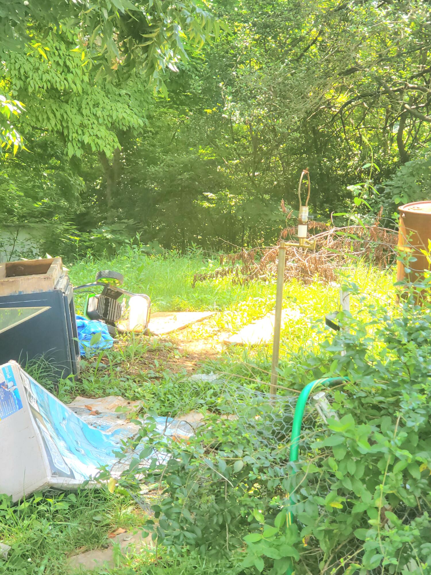 153 Cotter Avenue Property Photo 4