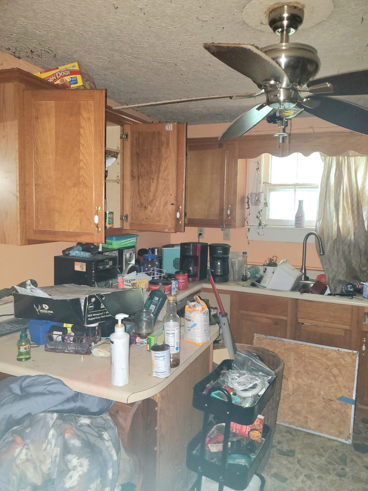 153 Cotter Avenue Property Photo 20