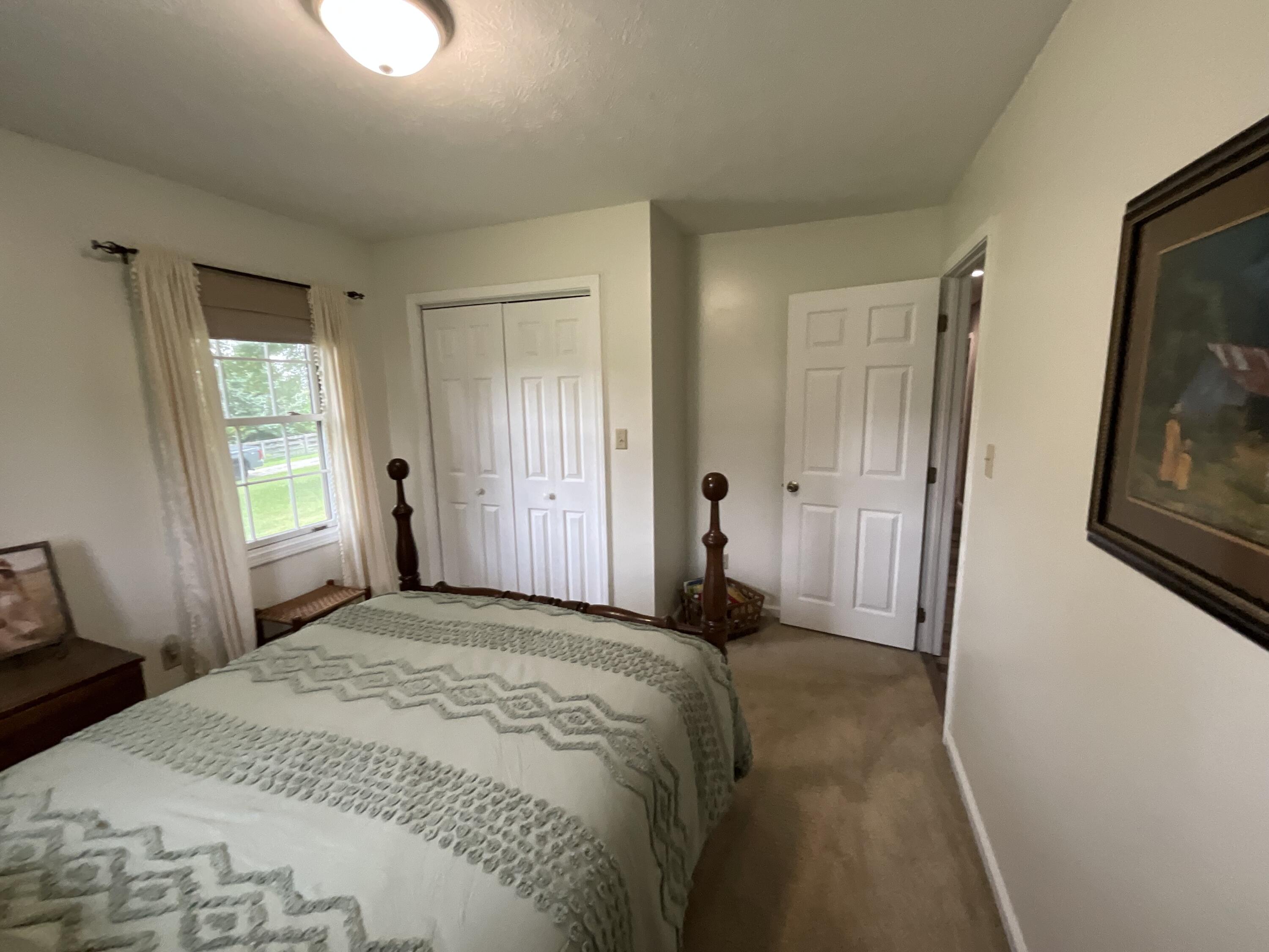 43 Collie Lane Property Photo 45
