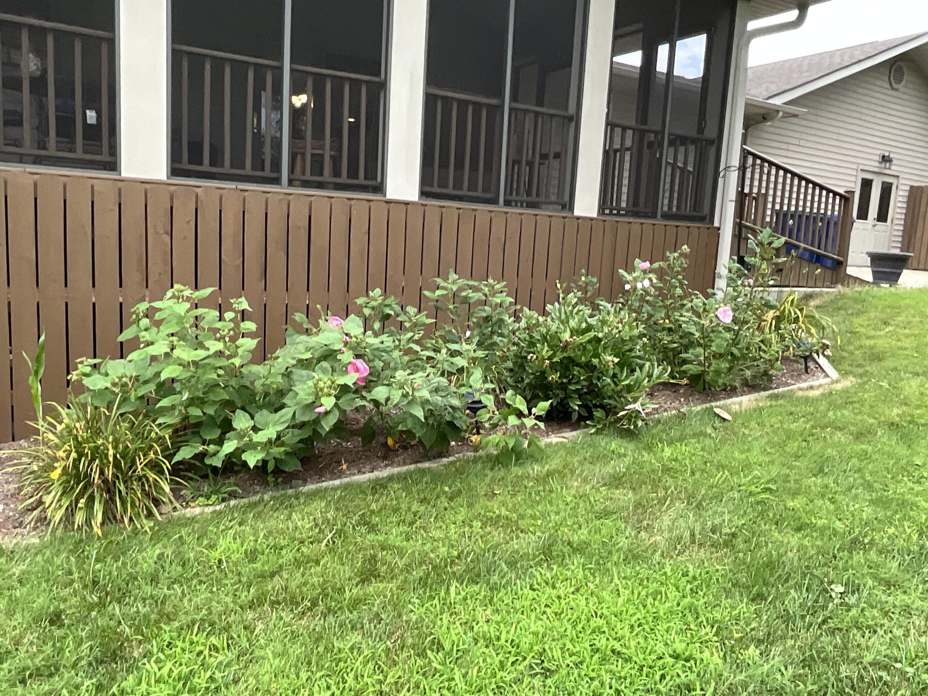 43 Collie Lane Property Photo 83