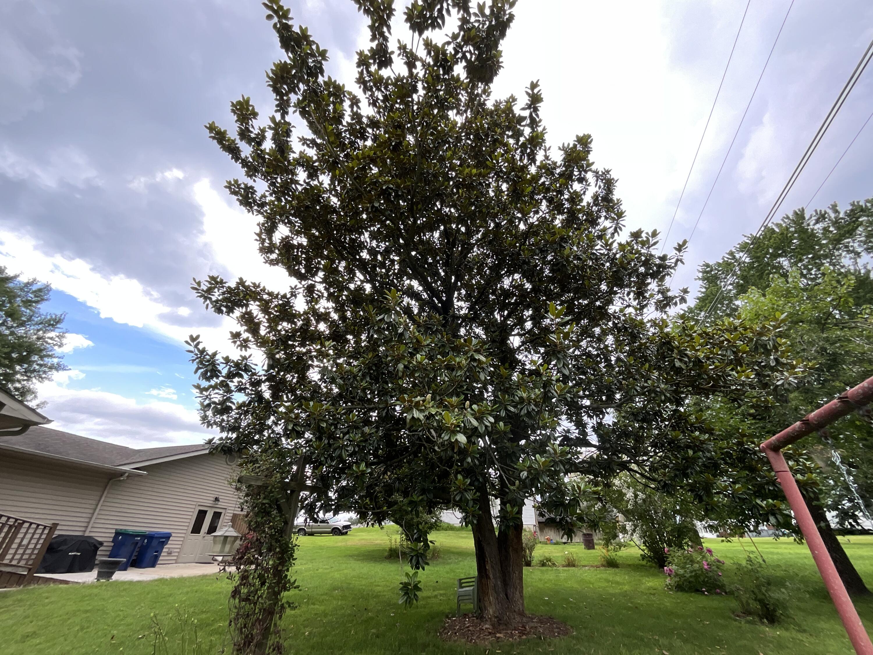 43 Collie Lane Property Photo 85