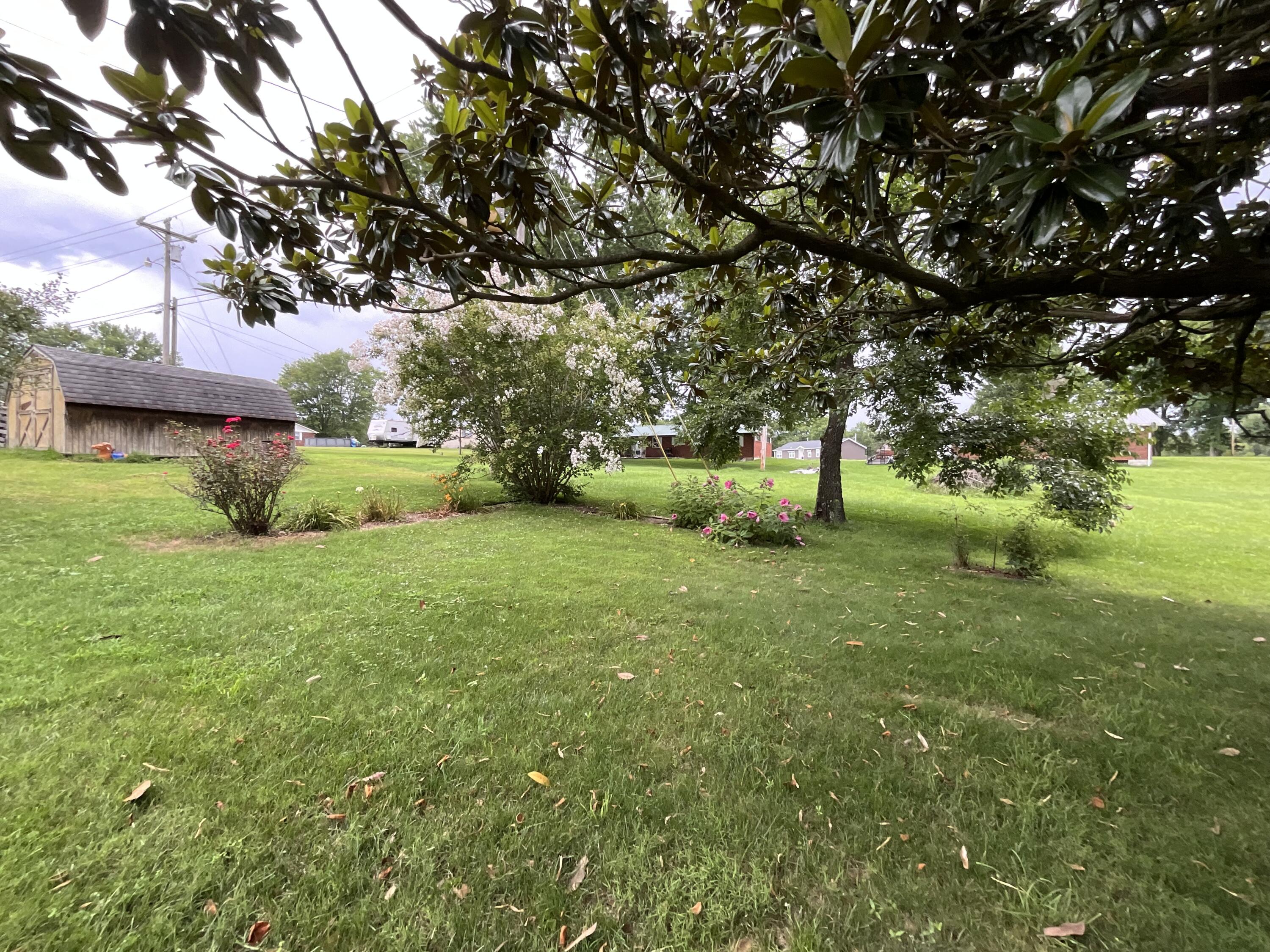 43 Collie Lane Property Photo 86