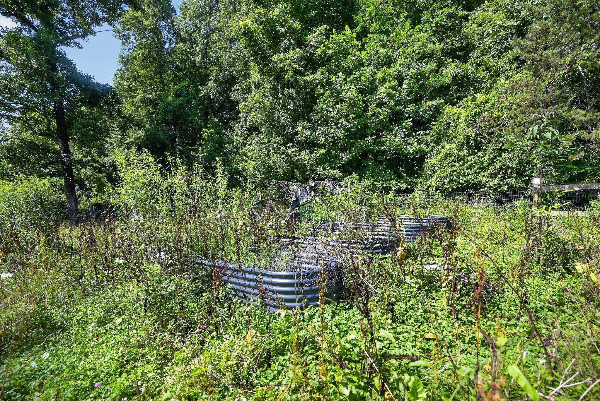 463 Hillman Road Property Photo 25