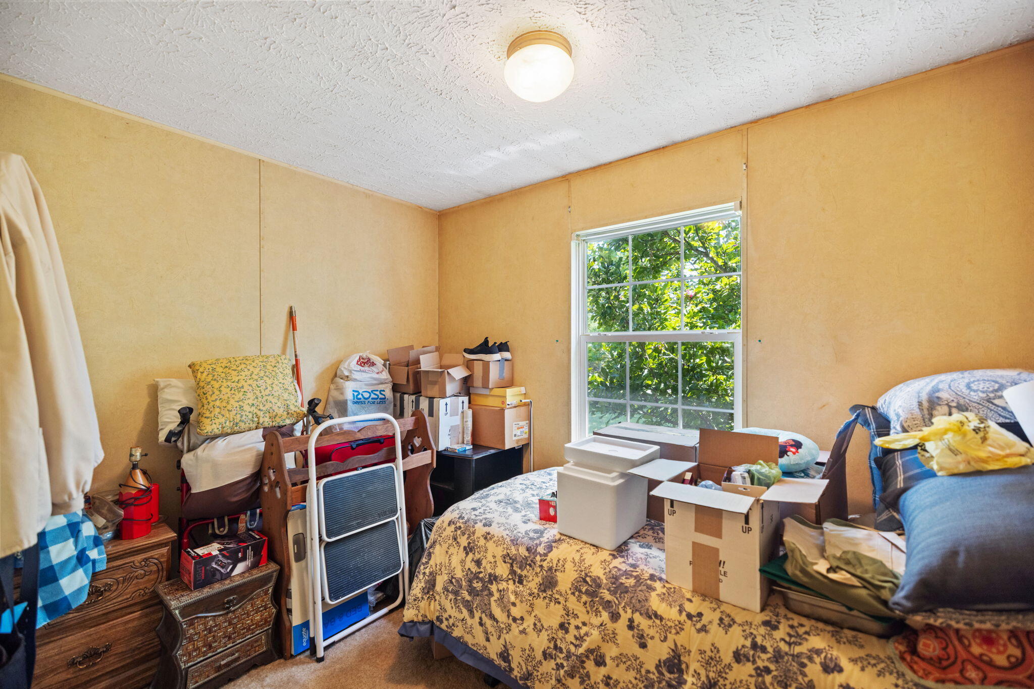 4389 Snake Lick Road Property Photo 23