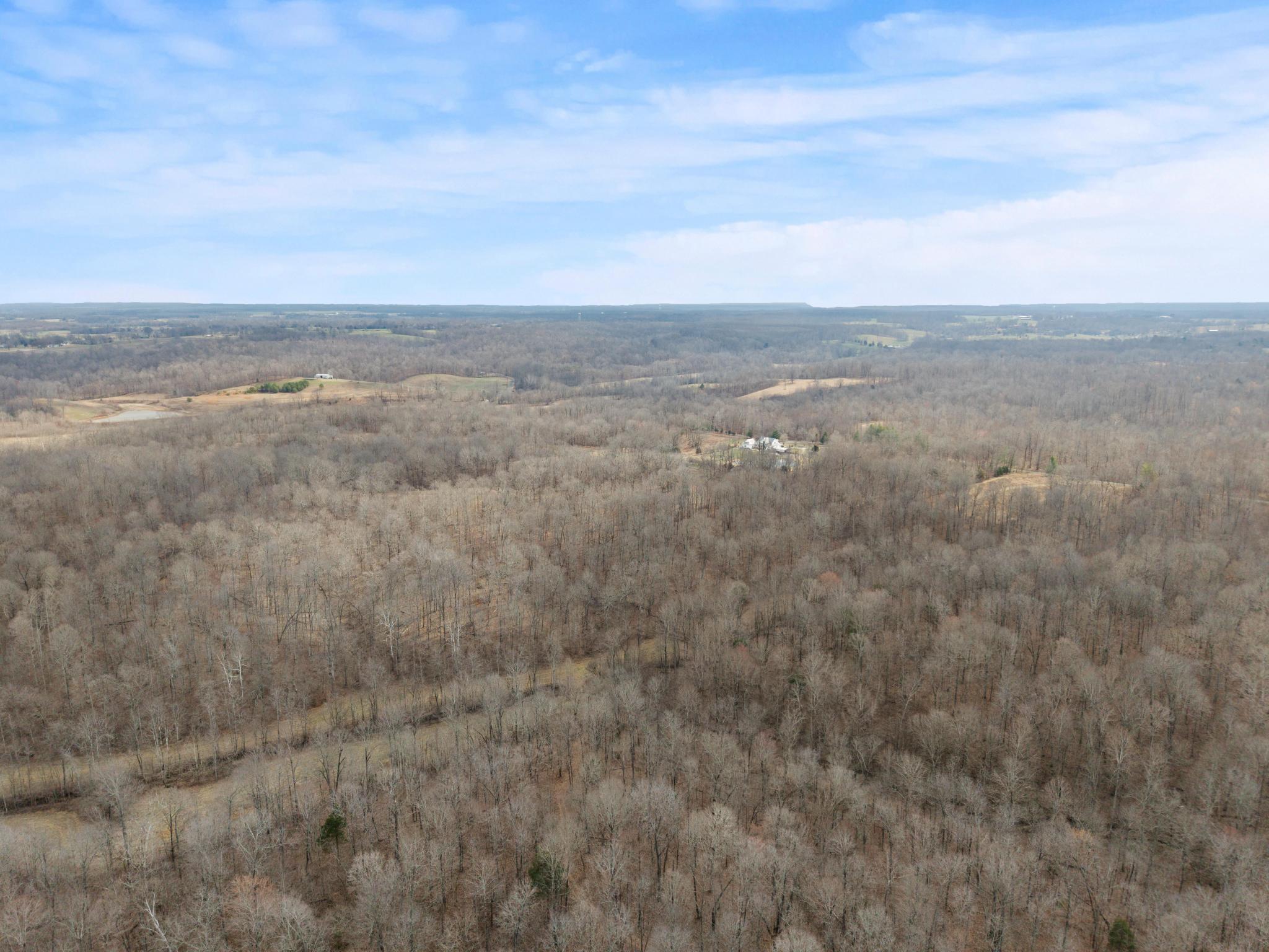 74.19-f Bill Thompson Rd Road Property Photo 3