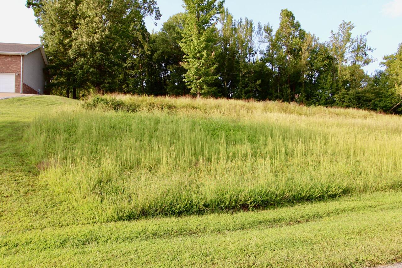 Lot 83 Kelsey Joe Lane Property Photo 2