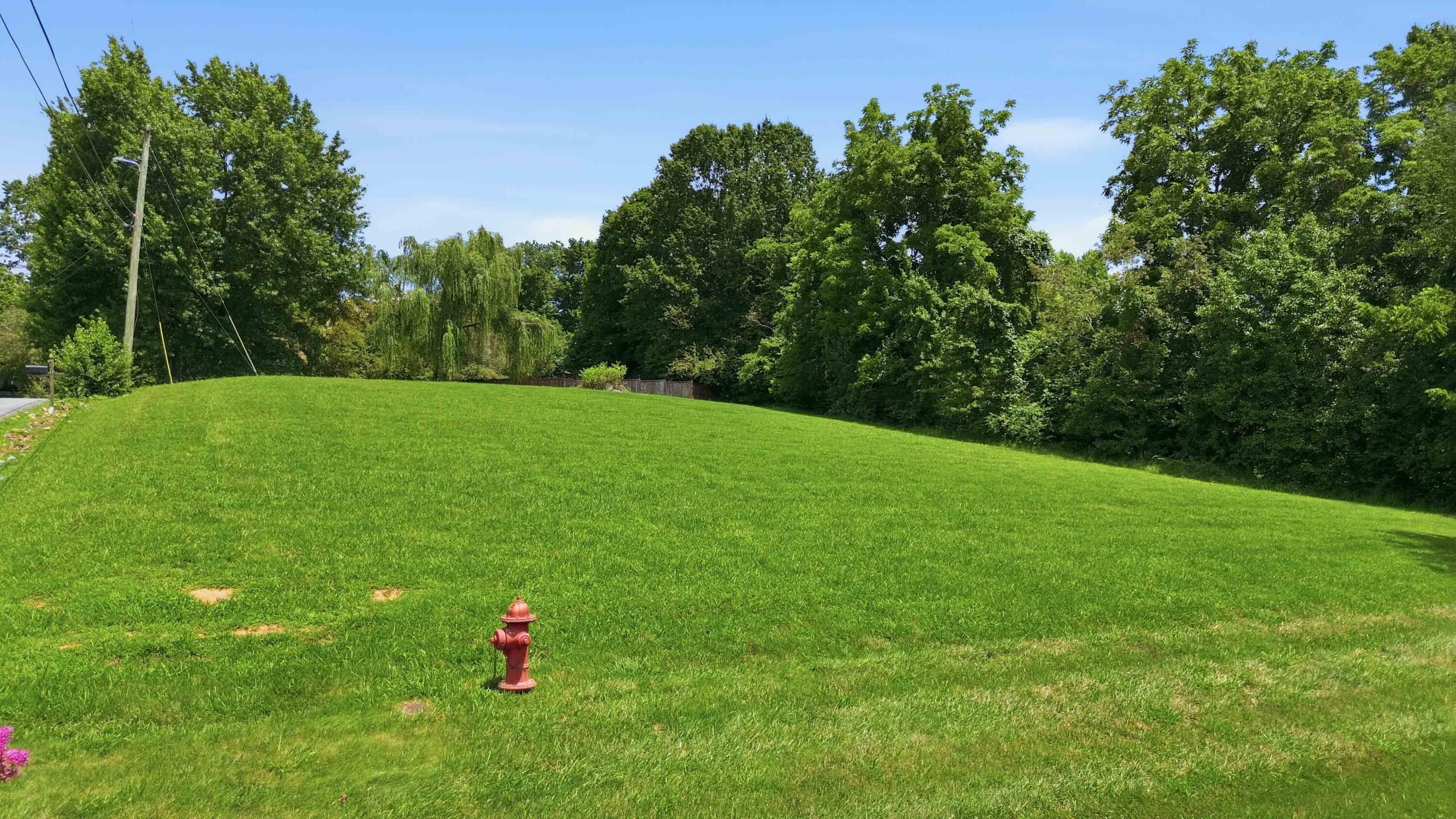 425 Woodside Drive Property Photo 90