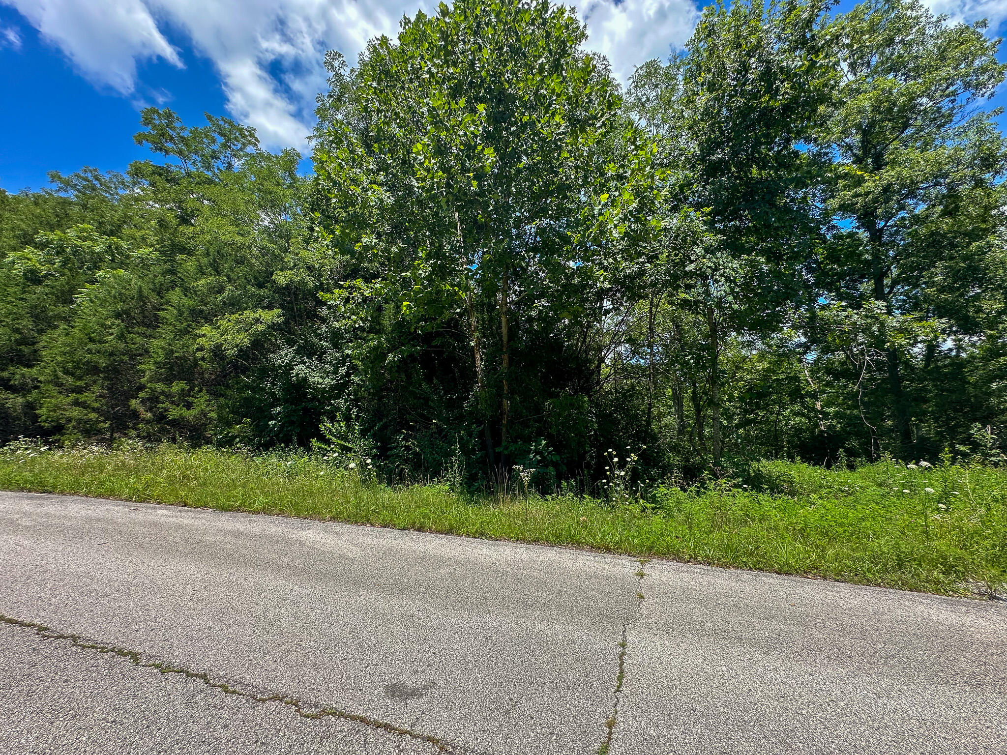 0 S Us Highway 127 Loop #5 Property Photo 42