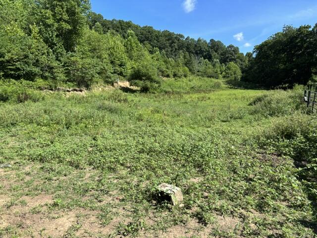 305 Pond Lick Road Property Photo 3