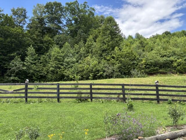 305 Pond Lick Road Property Photo 4