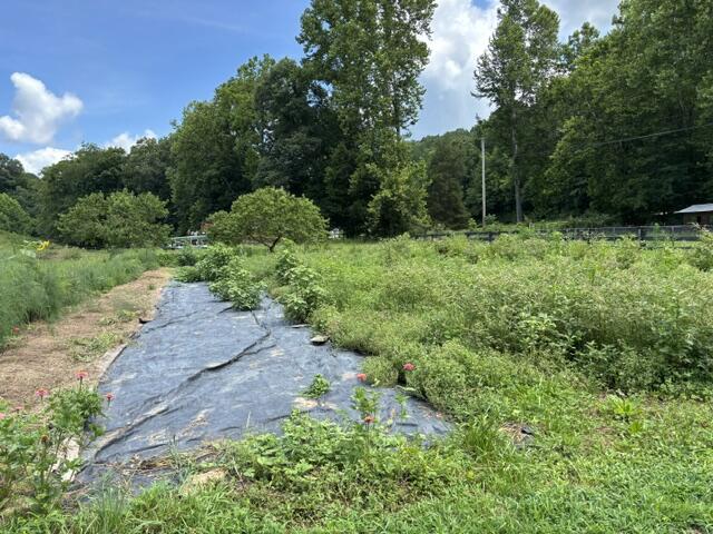 305 Pond Lick Road Property Photo 5