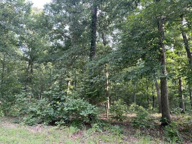 Lot 99 Woodduck Lane Lane Property Photo 4
