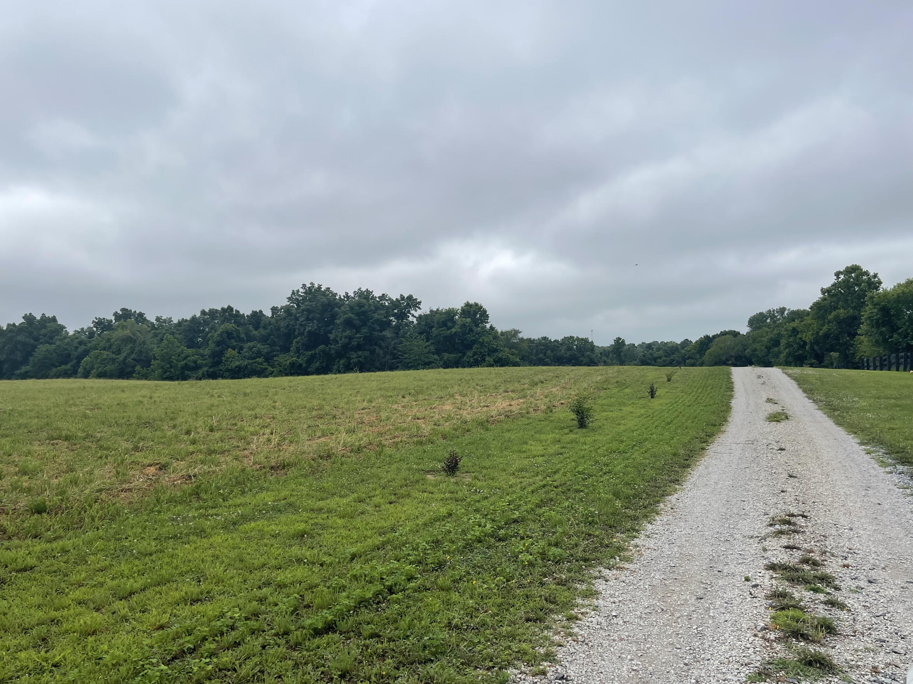 1923 Bush Road Property Photo 42