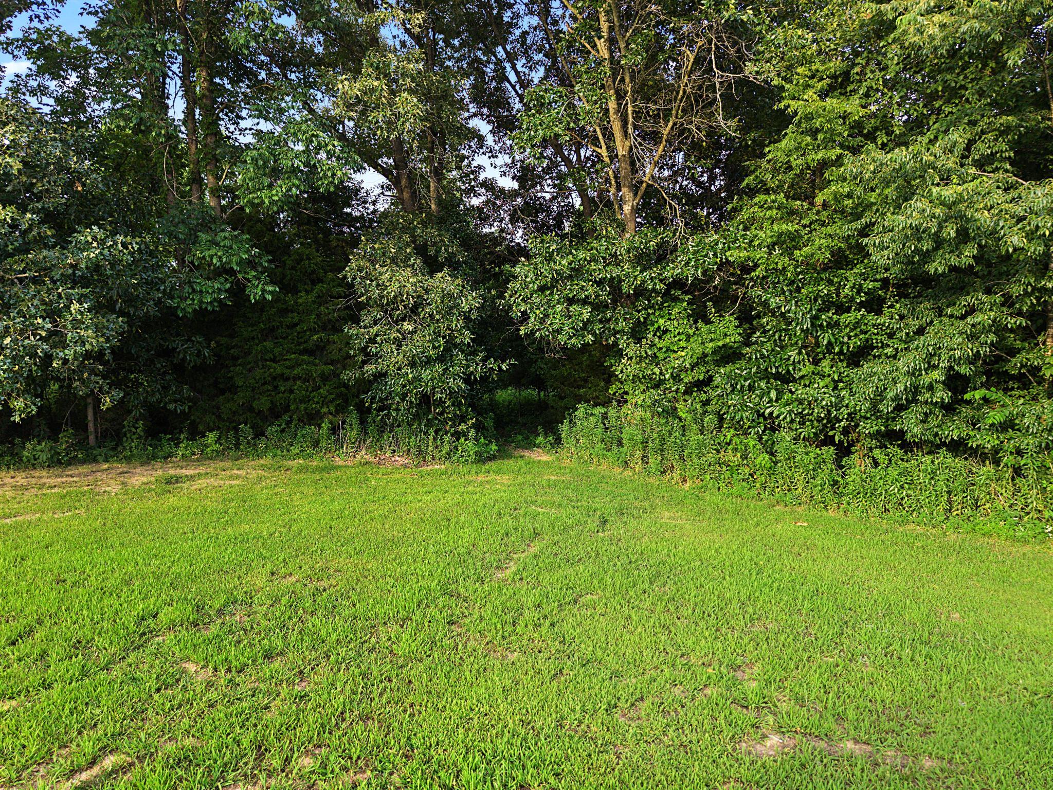 1923 Bush Road Property Photo 46