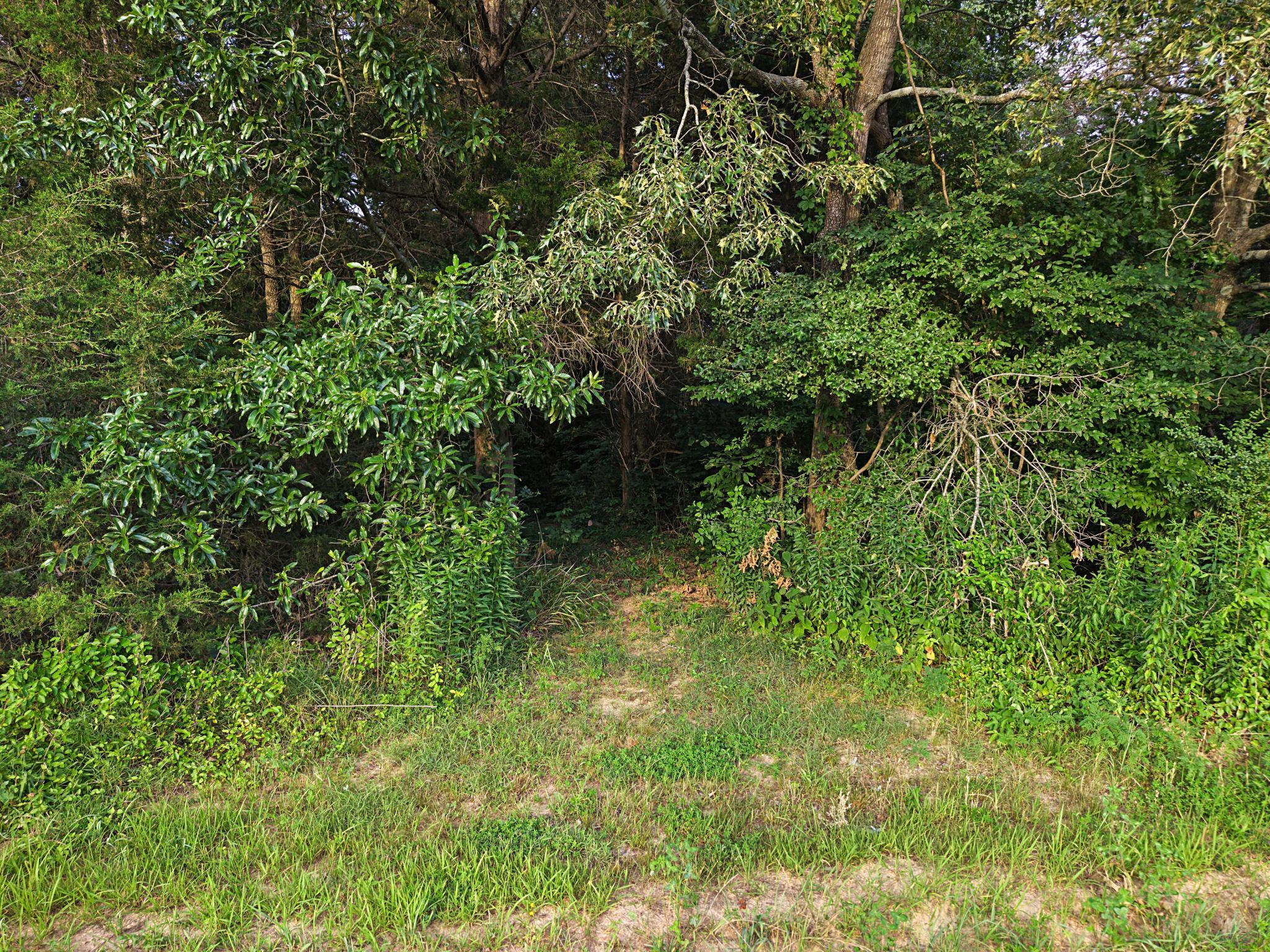 1923 Bush Road Property Photo 48