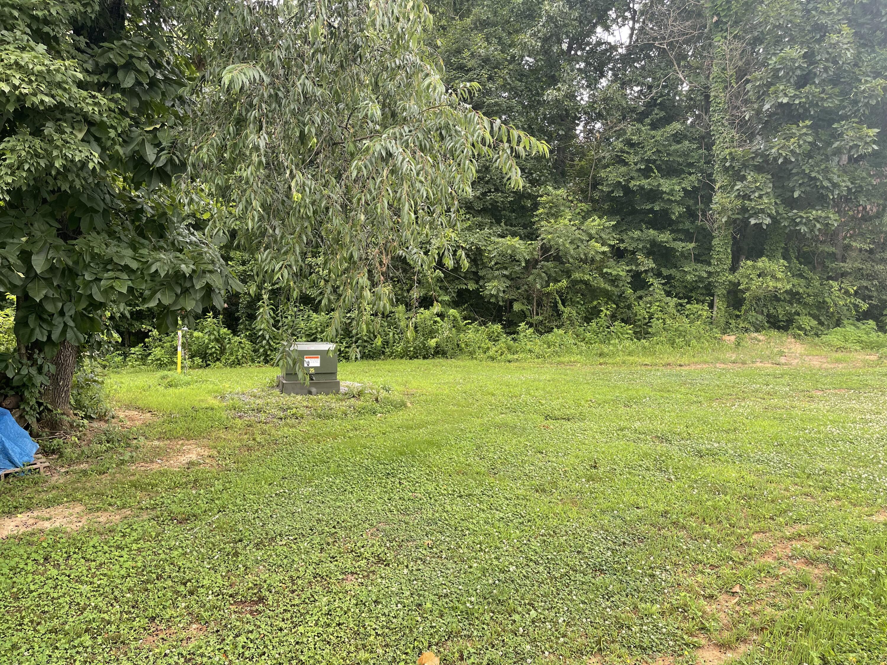 1923 Bush Road Property Photo 68