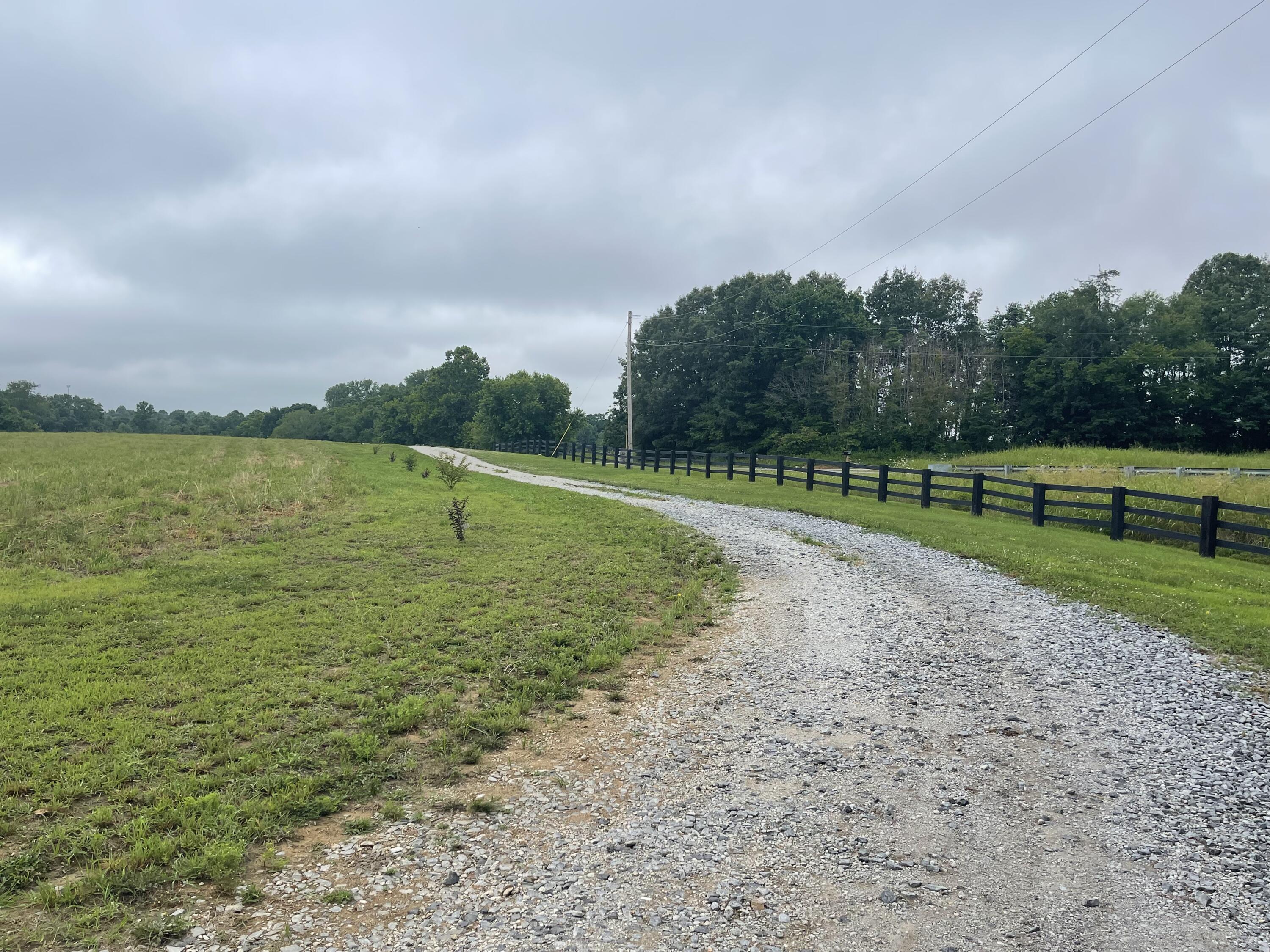 1923 Bush Road Property Photo 69