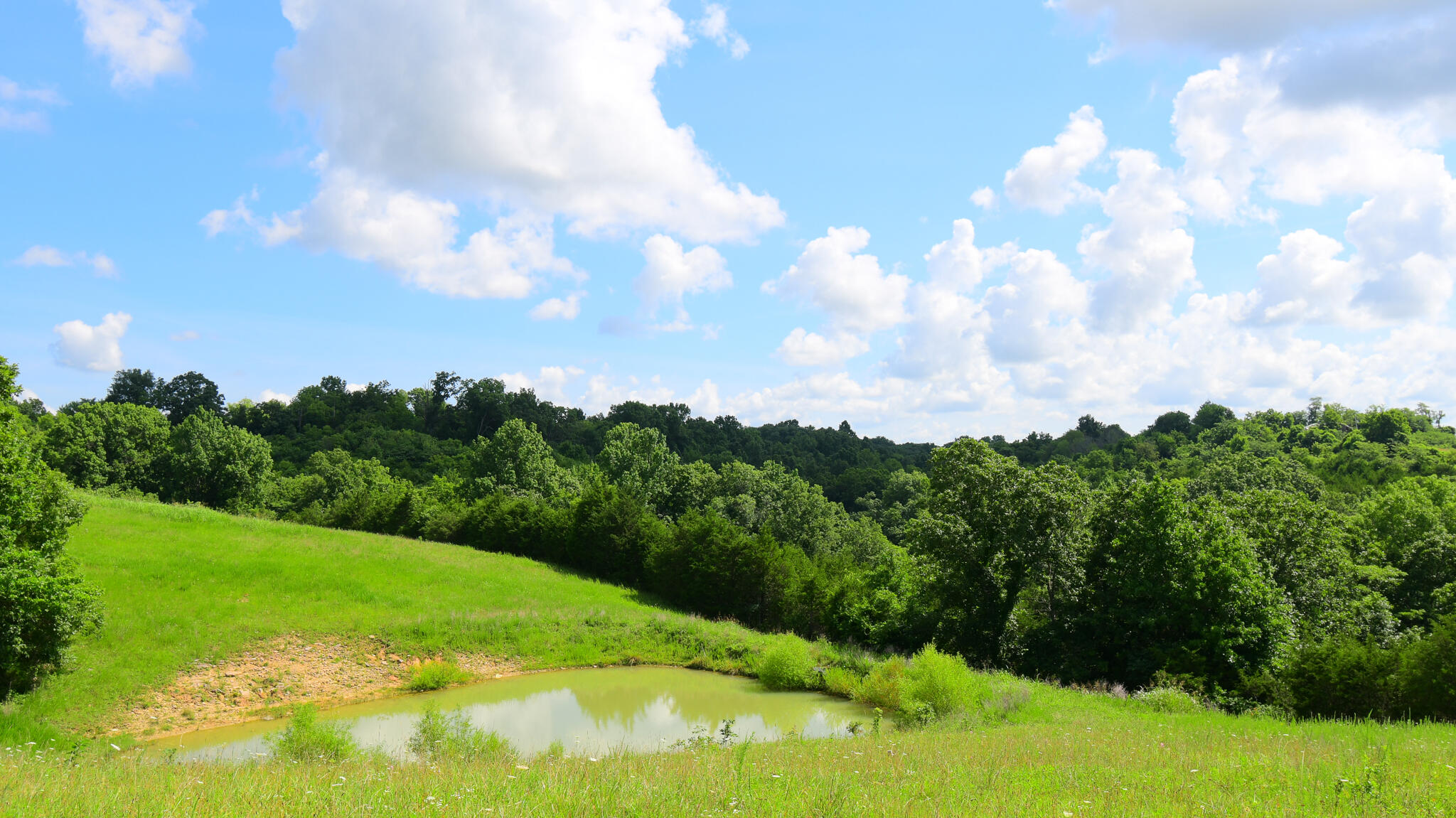 2010 Grapevine Road Property Photo 57