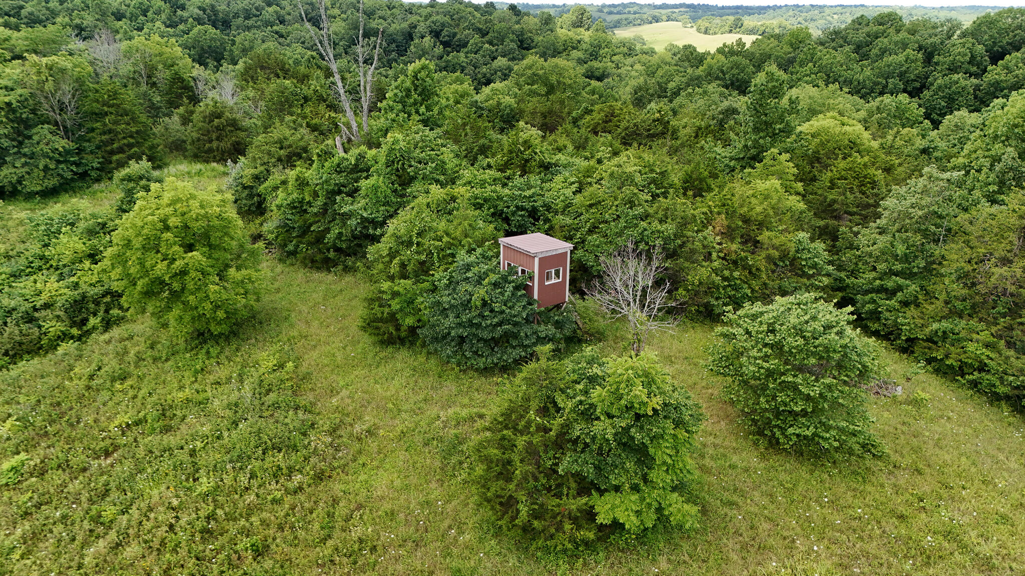 2010 Grapevine Road Property Photo 75