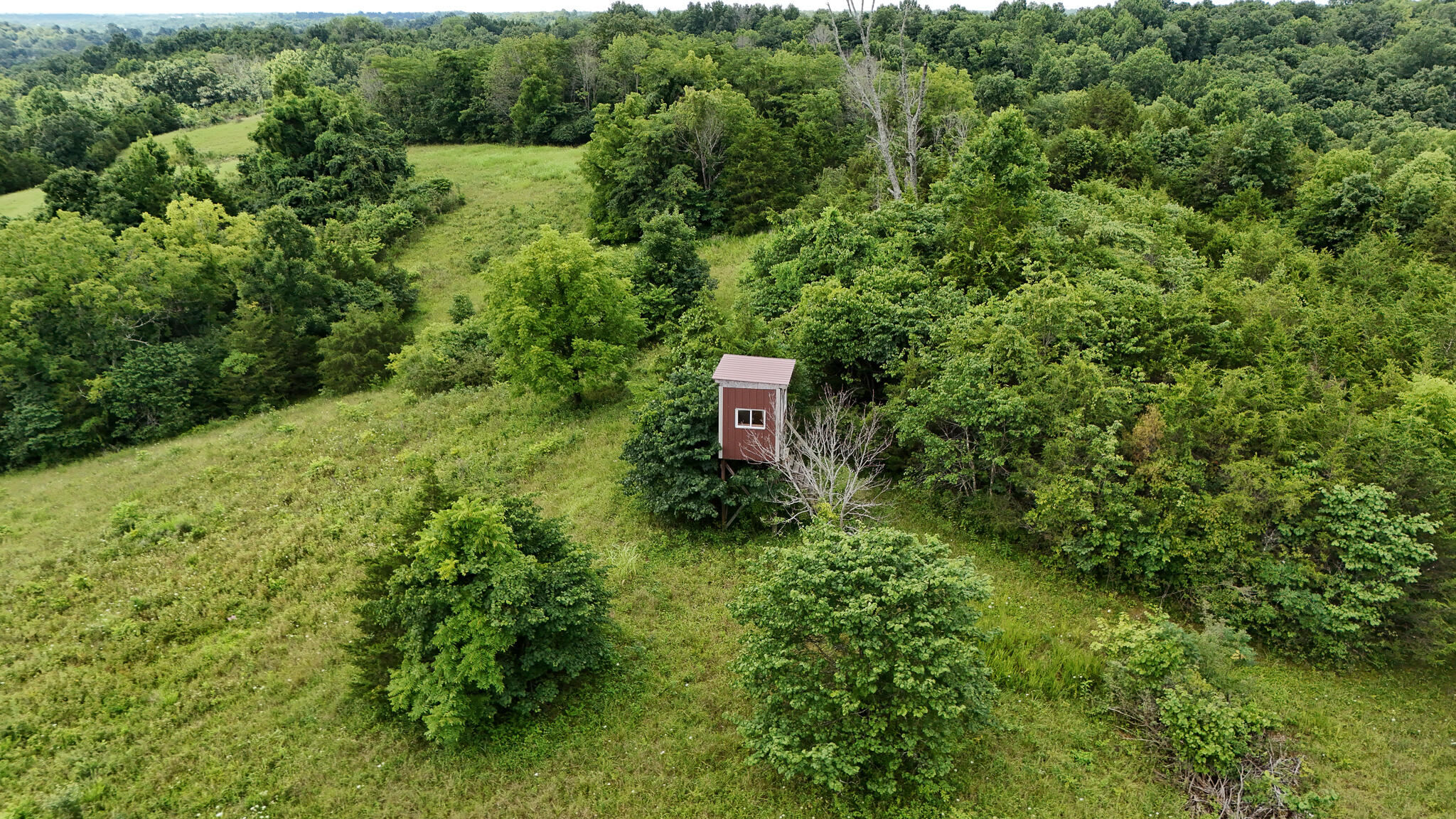 2010 Grapevine Road Property Photo 76