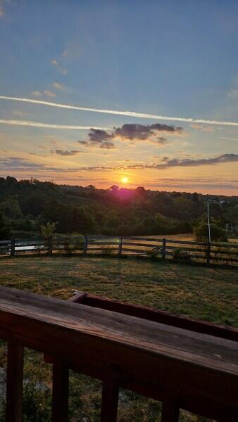 2010 Grapevine Road Property Photo 83